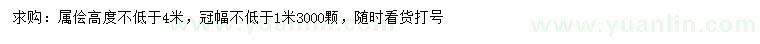 求購高不低于4米蜀檜