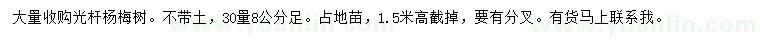 求購(gòu)30量8公分楊梅