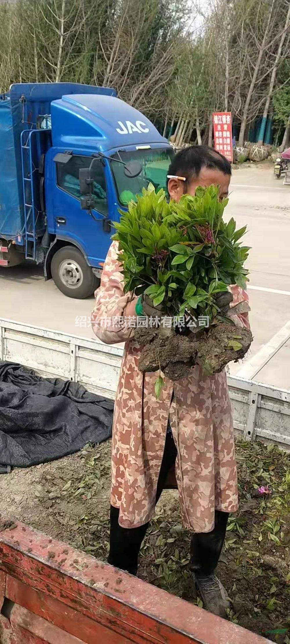 浙江供應(yīng)毛鵑小毛球 杭州毛娟小毛球規(guī)格齊全