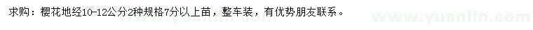求購地徑10-12公分櫻花