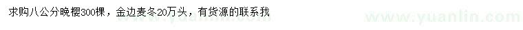 求購8公分晚櫻、金邊麥冬