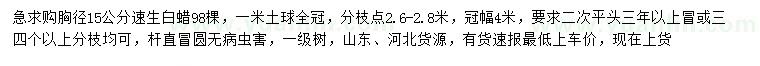 求購胸徑15公分速生白蠟