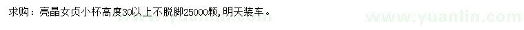 求購(gòu)高30公分以上亮晶女貞
