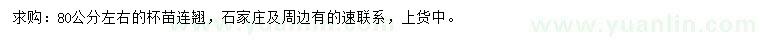 求購(gòu)80公分左右連翹