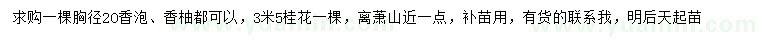 求購香泡、香柚、桂花