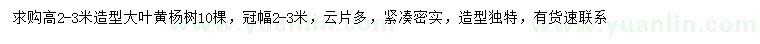 求購高2-3米造型大葉黃楊
