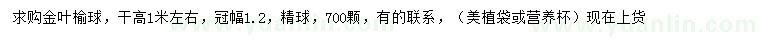 求購冠幅1.2米金葉榆球