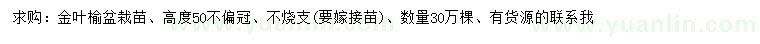 求購高50公分金葉榆