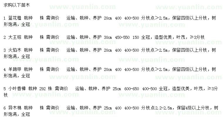 求購藍花楹、大王棕、火焰木等