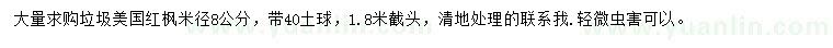 求購米徑8公分美國紅楓
