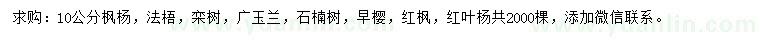 求購楓楊、法桐、欒樹等