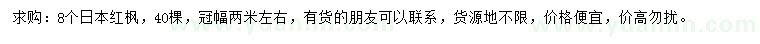 求購8公分日本紅楓
