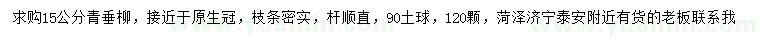 求購(gòu)15公分青垂柳