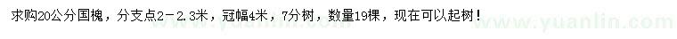 求購(gòu)20公分國(guó)槐