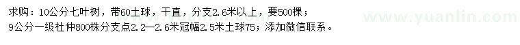 求購10公分七葉樹(shù)、9公分杜仲