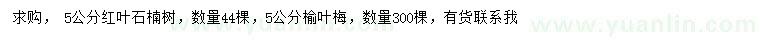 求購5公分紅葉石楠、榆葉梅