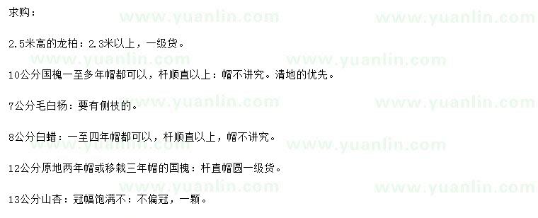 求購龍柏、國槐、毛白楊等