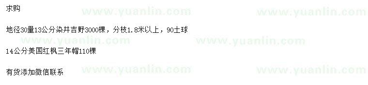 求購(gòu)30量13公分染井吉野櫻、14公分美國(guó)紅楓