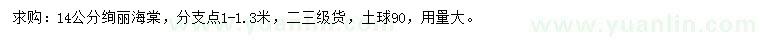 求購14公分絢麗海棠