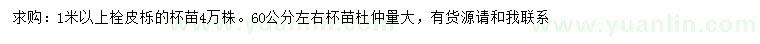 求購1米以上栓皮櫟、60公分左右杜仲