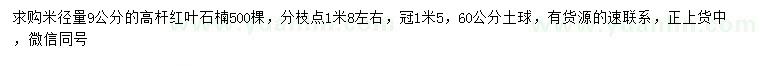 求購米徑9公分高桿紅葉石楠