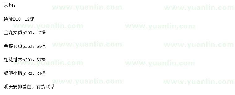 求購紫薇、金森女貞、紅花繼木等