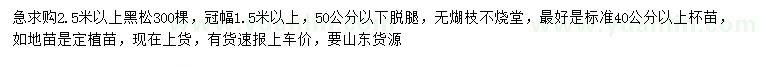 求購2.5米以上黑松