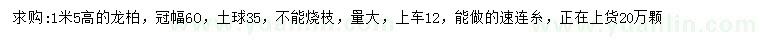 求購(gòu)高1.5米龍柏