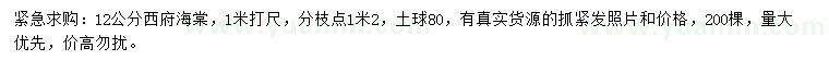 求購1米打尺12公分西府海棠