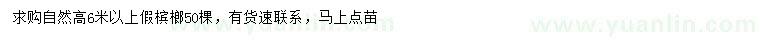 求購高6米以上假檳榔