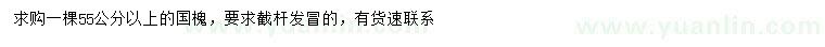 求購(gòu)55公分以上國(guó)槐