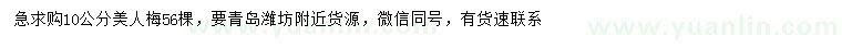 求購(gòu)10公分美人梅