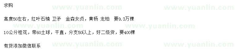 求購紅葉石楠、衛(wèi)矛 、金森女貞等