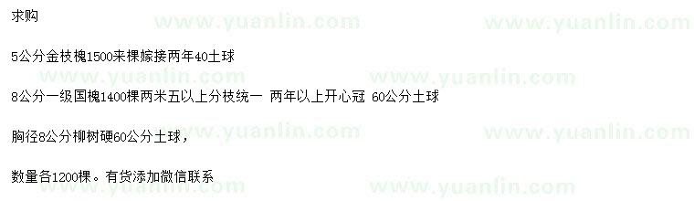 求購金枝槐、國槐、柳樹