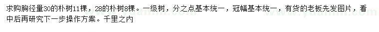 求購(gòu)胸徑28、30公分樸樹