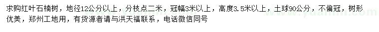 求購地徑12公分以上紅葉石楠
