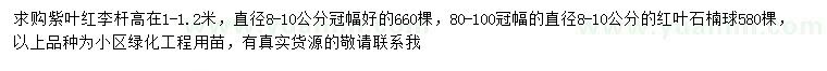 求購(gòu)8-10公分紫葉李、紅葉石楠球