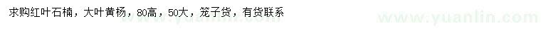 求購高50公分紅葉石楠、大葉黃楊