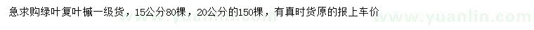 求購15、20公分綠葉復(fù)葉槭