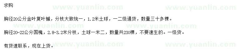 求購胸徑20公分金葉復(fù)葉槭、胸徑20-22公分國槐