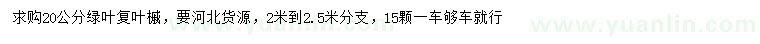 求購20公分綠葉復(fù)葉槭