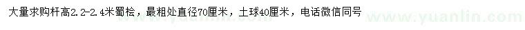 求購高2.2-2.4米蜀檜