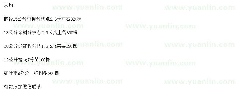 求購香樟、欒樹、紅櫸等