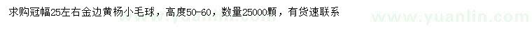 求購(gòu)冠幅25公分左右金邊黃楊球