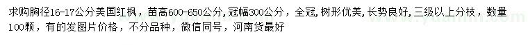 求購16公分美國紅楓