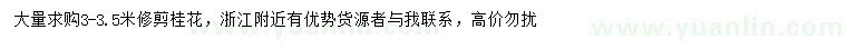 求購3-3.5米桂花