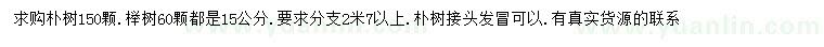 求購15公分樸樹、櫸樹