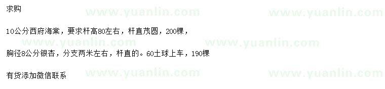 求購10公分西府海棠、胸徑8公分銀杏