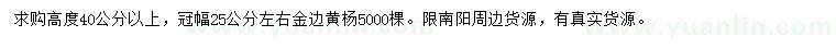 求購40公分以上金邊黃楊5000棵
