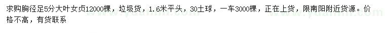 求購胸徑5分大葉女貞